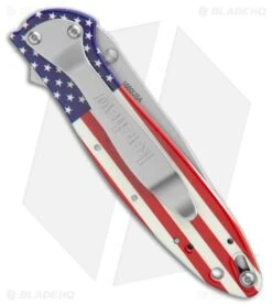 Kershaw Leek Assisted Opening Knife USA Flag (3" Bead Blast) 1660USA -Knife Craft Store Kershaw Leek Assisted Opening Knife USA Flag Bead Blast BHQ 209736 kr side large