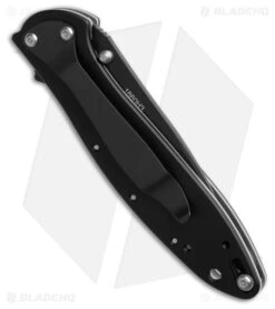 Kershaw Leek Assisted Opening Liner Lock Knife Black Aluminum (3" Black) -Knife Craft Store Kershaw Leek Framelock A O Black BHQ 196935 td side large