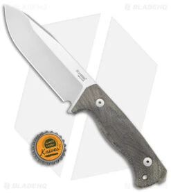 LionSteel T6 Hunting Fixed Blade Knife Green Micarta (6" Satin) -Knife Craft Store Lionsteel T6 Hunting Fixed Blade Green Micarta Satin BHQ 144734 jr bottlecap large