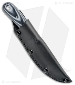 Spyderco Bow River Fixed Blade Knife Black/Gray G-10 (4.4" Satin) FB46GP -Knife Craft Store Spyderco Bow River Black Gray G 10 Satin FB46GP BHQ 85407 jr sheath large